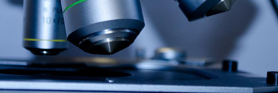 microscopio